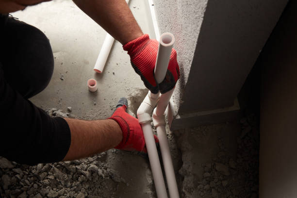 Best Local Plumber Services  in Spurgeon, TN
